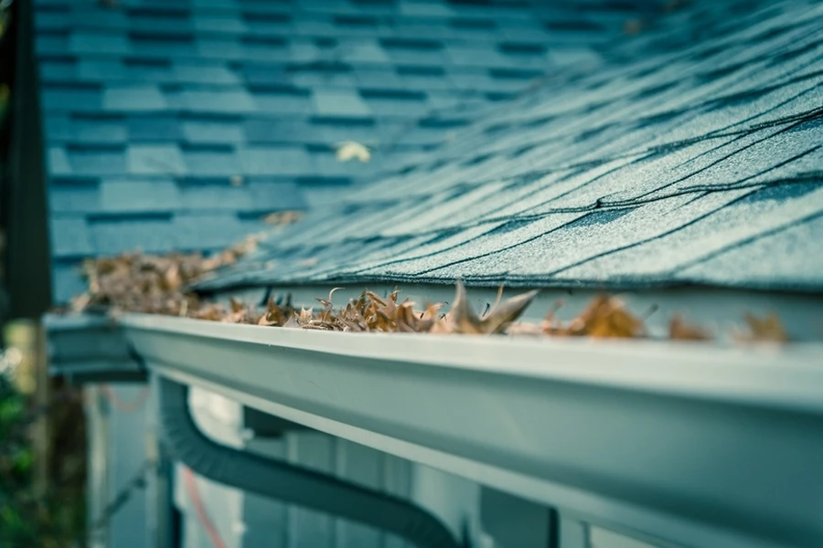 Why Gutter Cleaning Service Is Essential For Proper Drainage in Fort Myers, FL